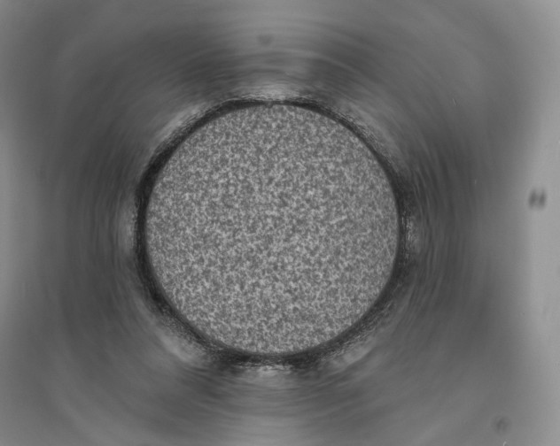 X0000094070304200711091158