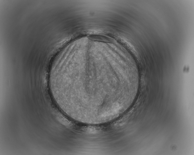 X0000094070305200711091158