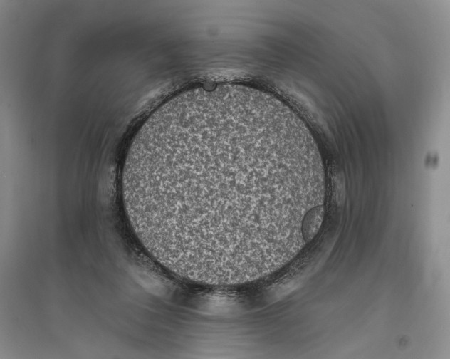 X0000094070308200711091158