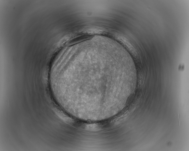 X0000094070309200711091158