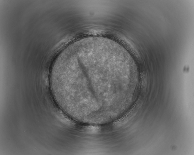 X0000094070313200711091158