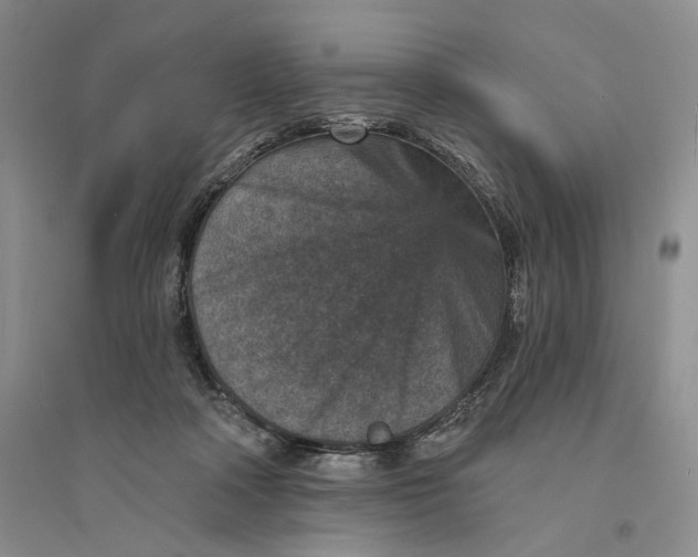 X0000094070314200711091158