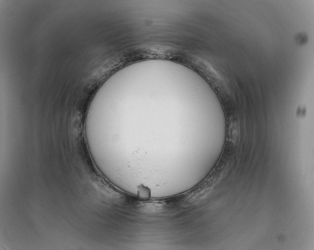 X0000094070318200711091158