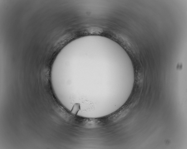 X0000094070321200711091158