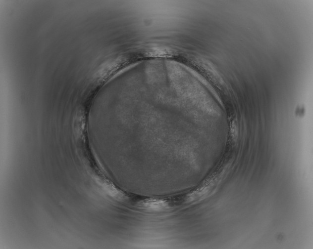 X0000094070322200711091158