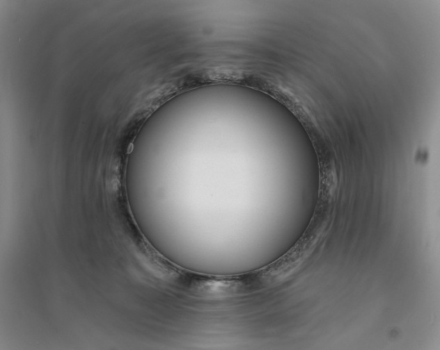 X0000094070323200711091158