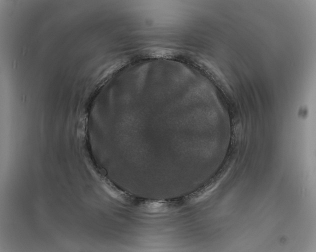 X0000094070325200711091158