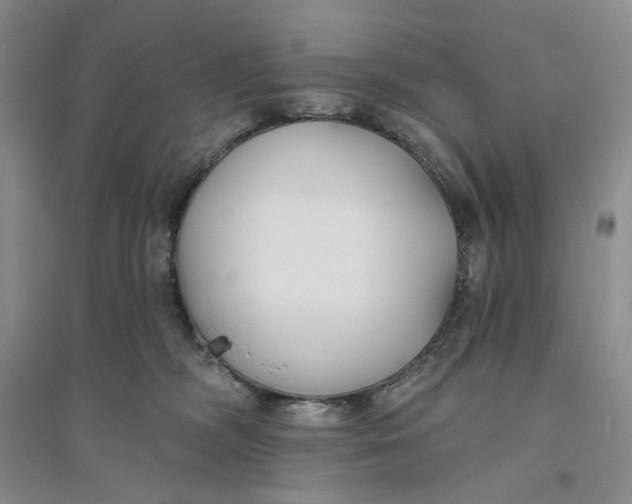 X0000094070326200711091158