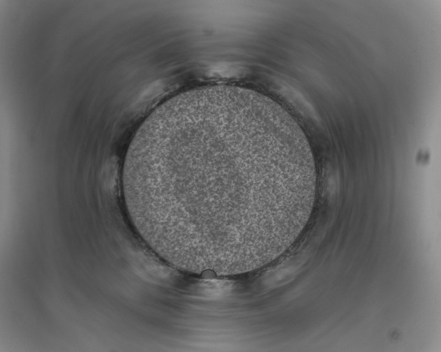 X0000094070328200711091158