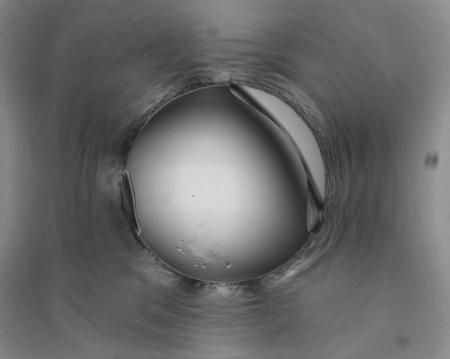 X0000094070329200711091158
