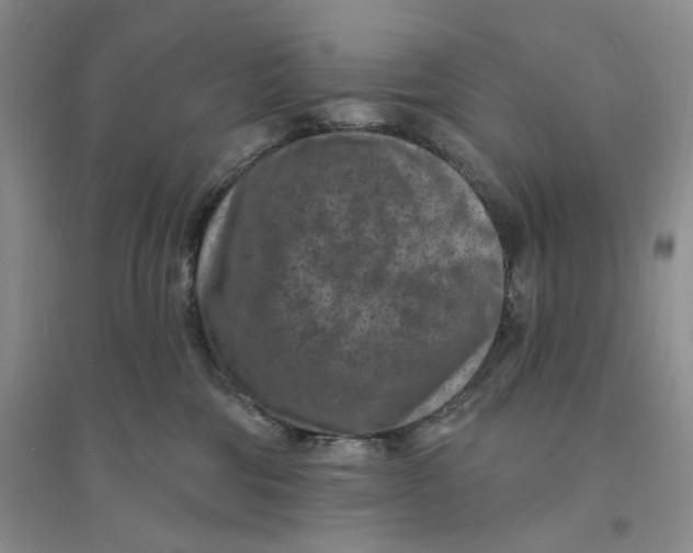 X0000094070330200711091158