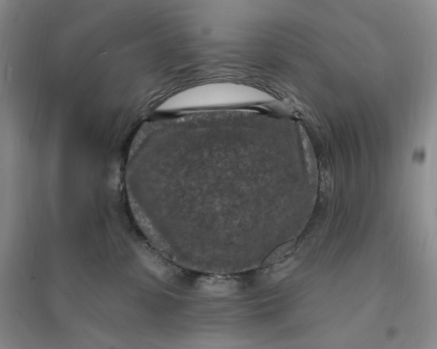 X0000094070331200711091158