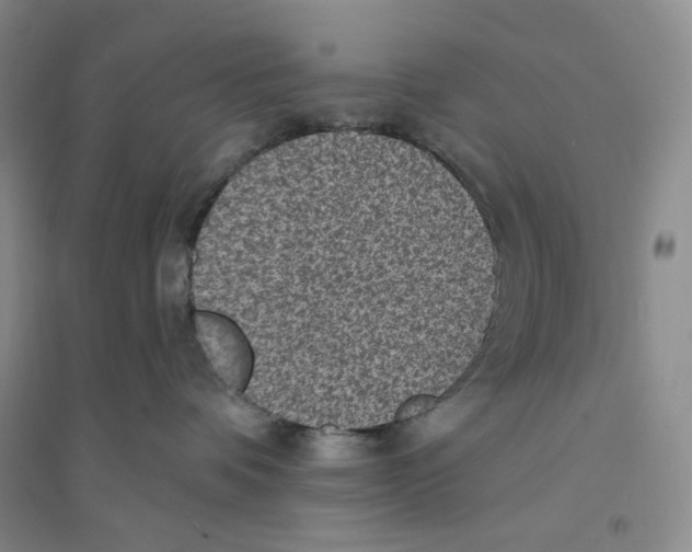 X0000094070336200711091158
