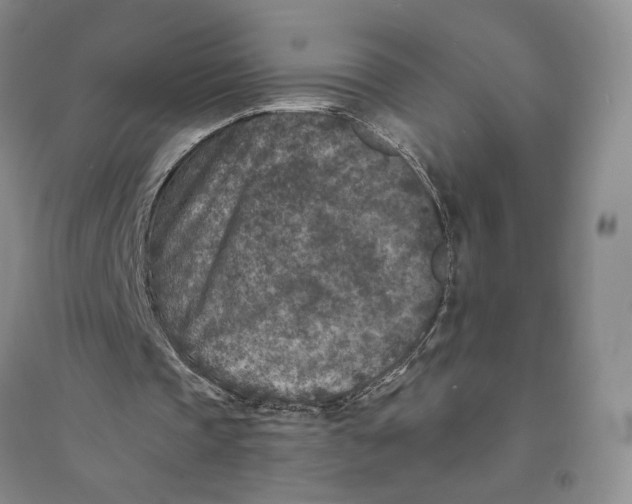 X0000094070337200711091157