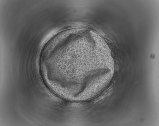X0000094070341200711091157
