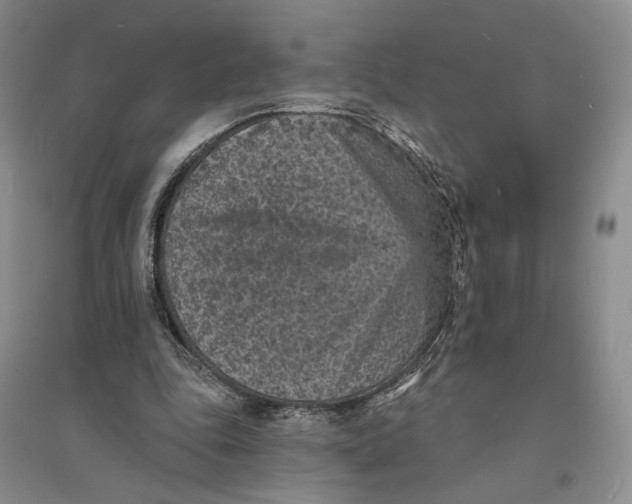 X0000094070343200711091157