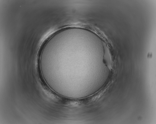 X0000094070344200711091157