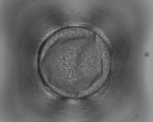 X0000094070346200711091157