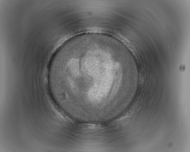 X0000094070347200711091157