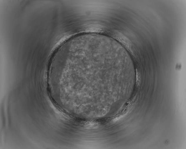 X0000094070348200711091157