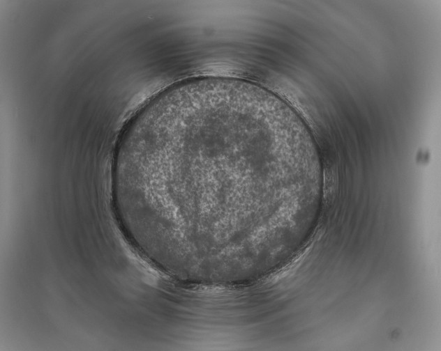 X0000094070349200711091157