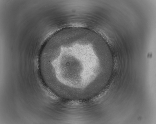 X0000094070351200711091157