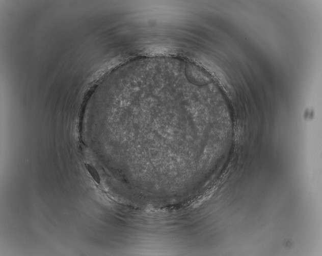 X0000094070353200711091157