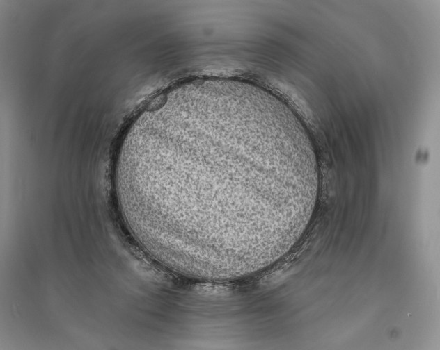 X0000094070354200711091157