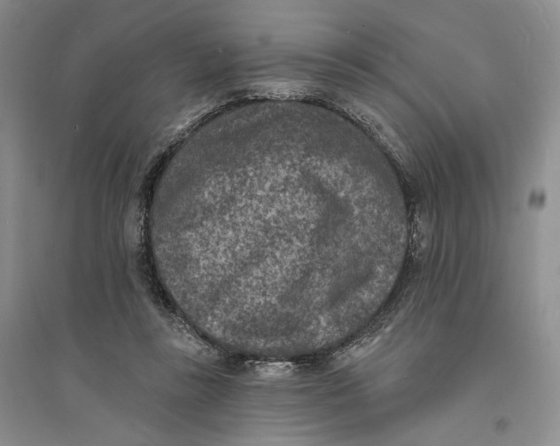 X0000094070355200711091157