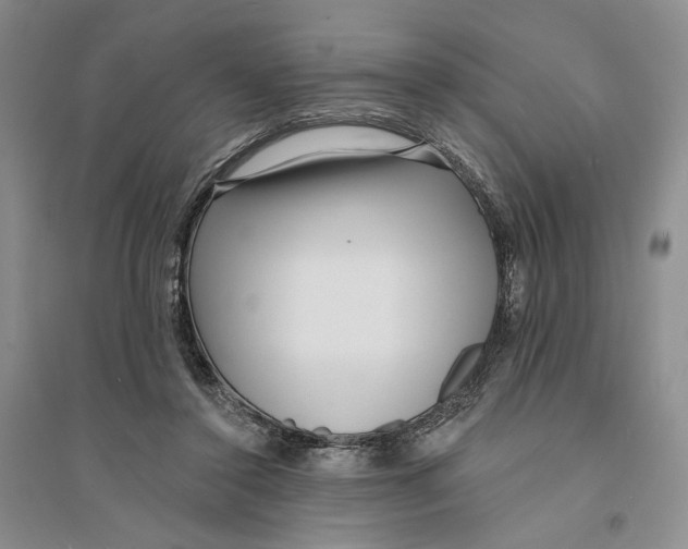 X0000094070356200711091157