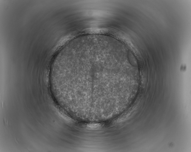 X0000094070357200711091157