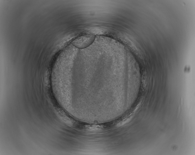 X0000094070359200711091157