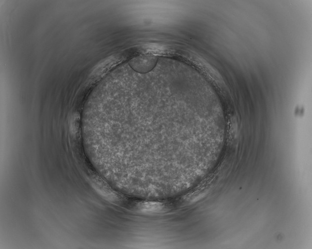 X0000094070361200711091157