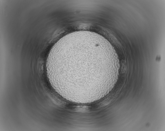 X0000094070363200711091158