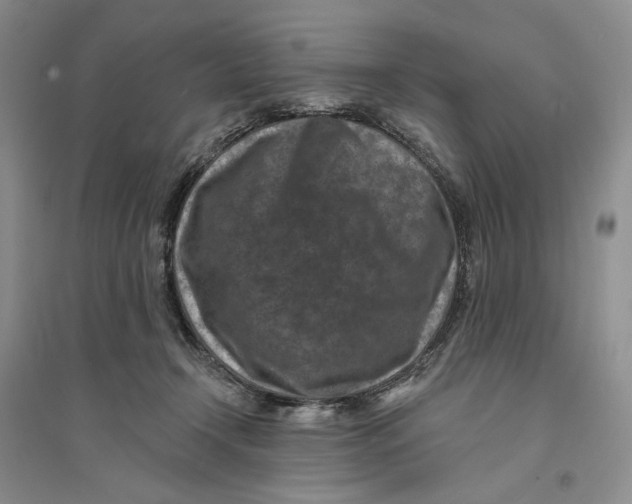 X0000094070366200711091158