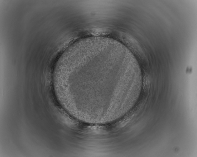 X0000094070367200711091158