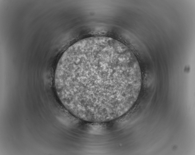 X0000094070370200711091158