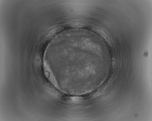 X0000094070371200711091158