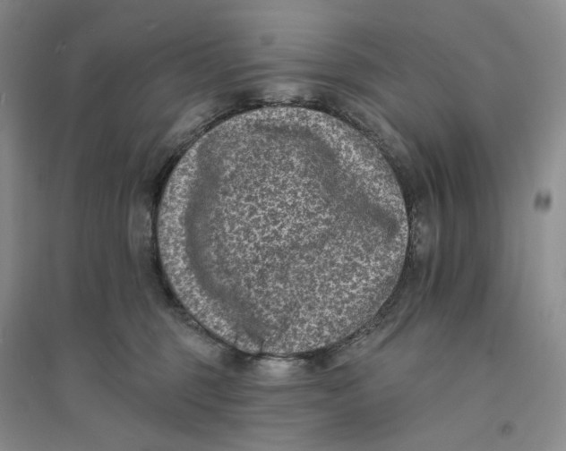 X0000094070375200711091158