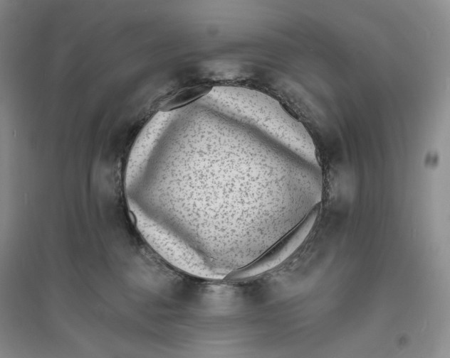 X0000094070376200711091158