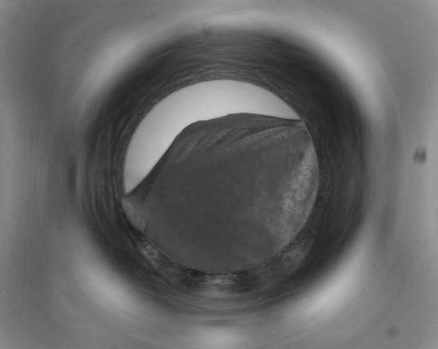 X0000094070382200711091158