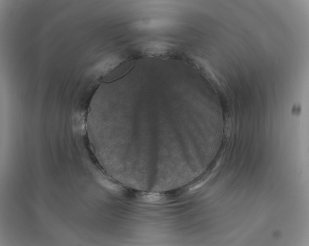 X0000094070383200711091158