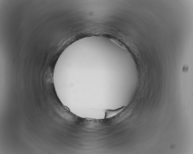 X0000094070384200711091158