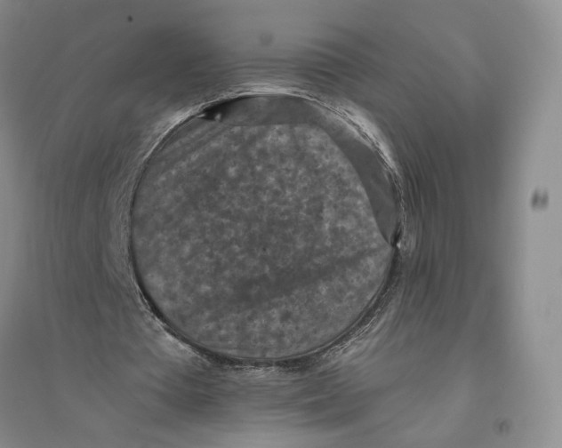 X0000094070385200711091157
