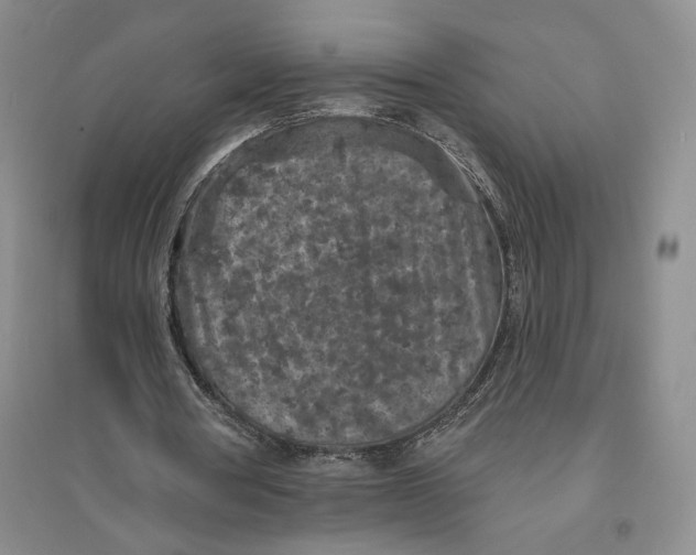 X0000094070386200711091157