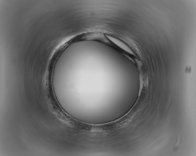 X0000094070388200711091157