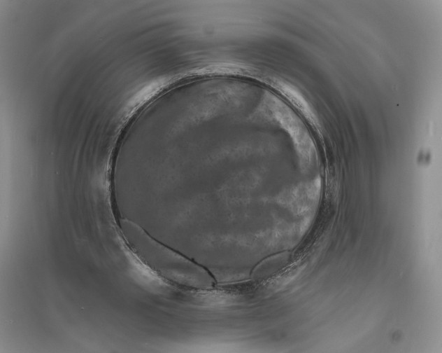 X0000094070389200711091157