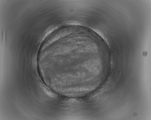 X0000094070390200711091157