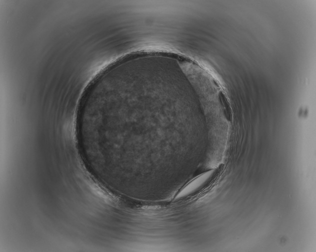X0000094070391200711091157