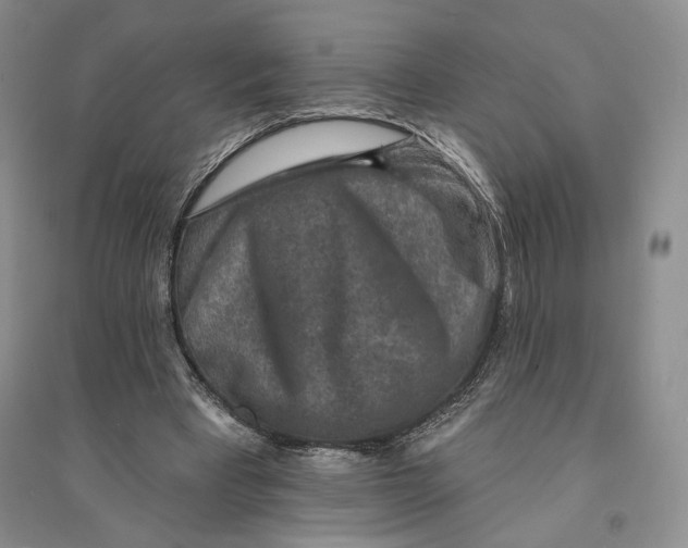 X0000094070393200711091157